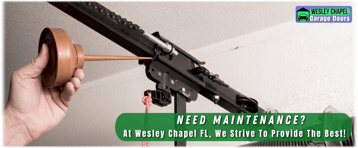 Garage Door Maintenance Wesley Chapel FL